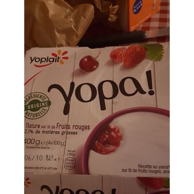 Recette Au Yaourt Nature, Sur Lit De Fruits Rouges (Yoplait - Yoplait Yopa !)