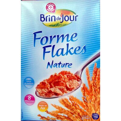 Forme Flakes Nature (Brin De Jour - Marque Repère)