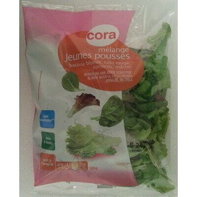 Mélange jeunes pousses (batavia blonde, lollo rouge, épinards, mâche) (Cora)