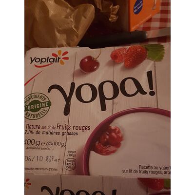 Yopa ! nature sur lit de fruits rouges (2 % mg) (Yoplait - Yoplait Yopa !)