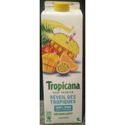 Réveil des tropiques (Tropicana)