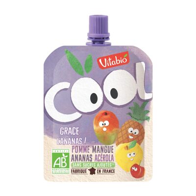 Cool fruits pomme mangue ananas (Vitabio)