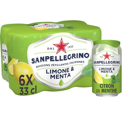San pellegrino boisson pétillante au jus de citron et d'extrait de menthe 6 x 33cl (Sanpellegrino)